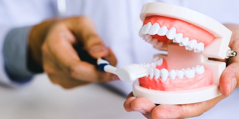how to brush your teeth the right way