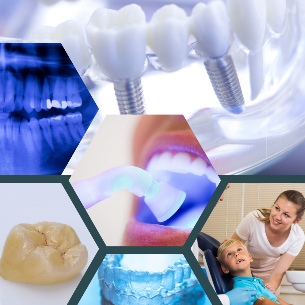 Top 10 Best Dentists Portland